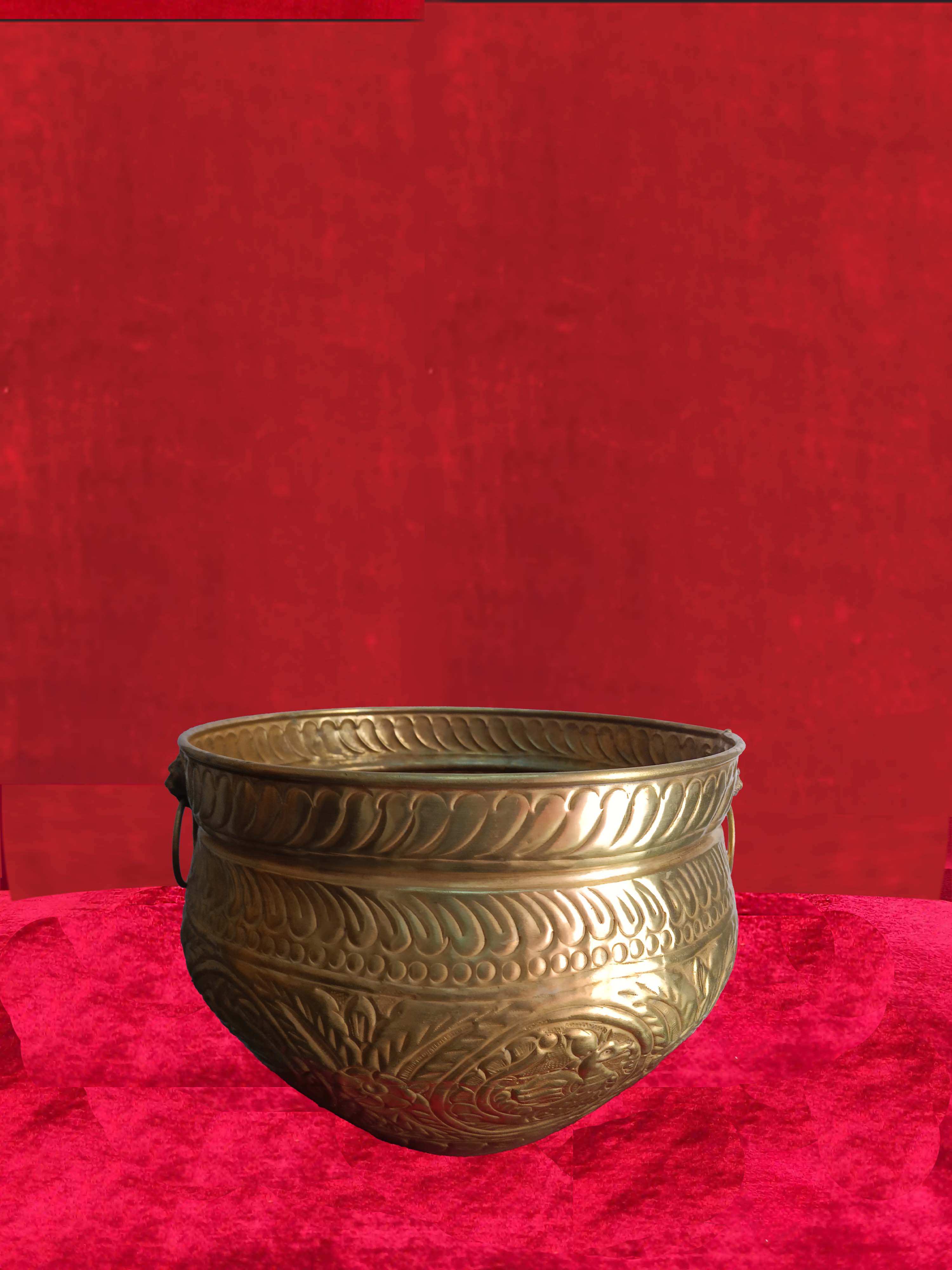 Haldi Property  Medium 2 Small 2